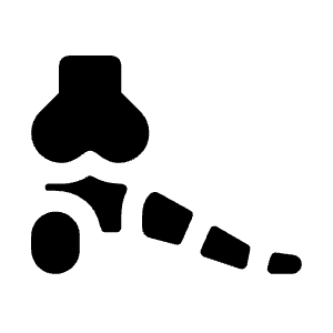 Foot Bones Fill Icon from Sharp Fill - Material Symbols Set