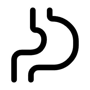 Gastroenterology Icon from Rounded Line - Material Symbols Set