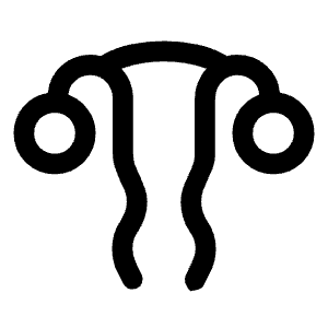 Gynecology Icon from Rounded Line - Material Symbols Set
