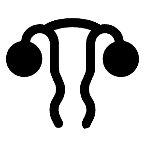 Gynecology Fill Icon from Rounded Fill - Material Symbols Set
