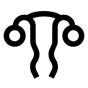 Gynecology Icon from Sharp Line - Material Symbols Set