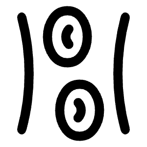 Hematology Icon from Rounded Line - Material Symbols Set