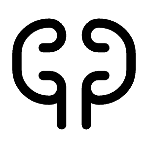 Nephrology Icon from Rounded Line - Material Symbols Set
