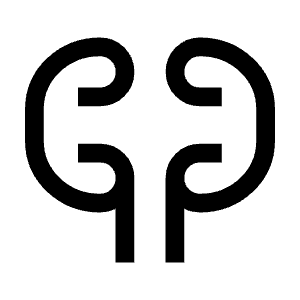Nephrology Icon from Outlined Line - Material Symbols Set