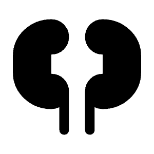 Nephrology Fill Icon from Rounded Fill - Material Symbols Set