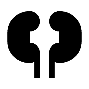 Nephrology Fill Icon from Sharp Fill - Material Symbols Set