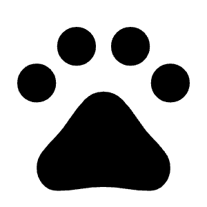 Pets Fill Icon from Sharp Fill - Material Symbols Set