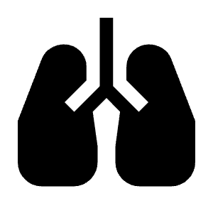 Pulmonology Fill Icon from Outlined Fill - Material Symbols Set