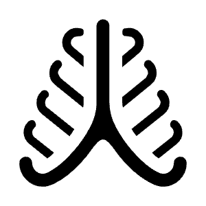 Rib Cage Fill Icon from Sharp Fill - Material Symbols Set