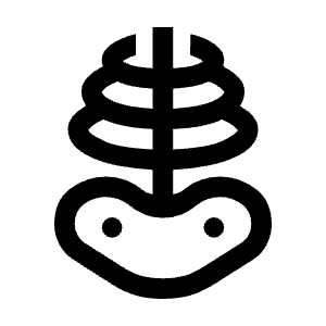 Skeleton Icon from Outlined Line - Material Symbols Set