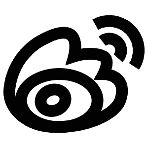 Social Media Icon from Atlas Line Set