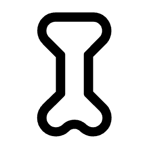 Tibia Icon from Sharp Line - Material Symbols Set