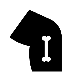 Tibia Alt Fill Icon from Outlined Fill - Material Symbols Set