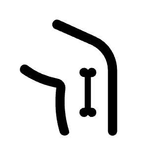 Tibia Alt Icon from Rounded Line - Material Symbols Set