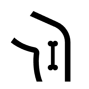 Tibia Alt Icon from Sharp Line - Material Symbols Set