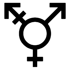 Transgender Fill Icon from Sharp Fill - Material Symbols Set