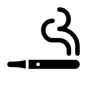 Vaping Rooms Icon from Rounded Line - Material Symbols Set