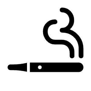 Vaping Rooms Fill Icon from Rounded Fill - Material Symbols Set