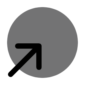 Circle Bottom Up Icon from Solar Bold Duotone Set
