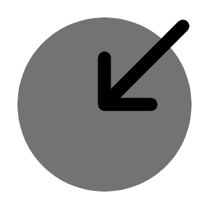 Circle Top Down Icon from Solar Bold Duotone Set