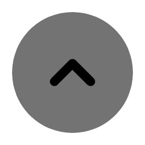 Round Alt Arrow Up Icon from Solar Bold Duotone Set