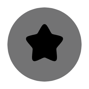 Star Circle Icon from Solar Bold Duotone Set