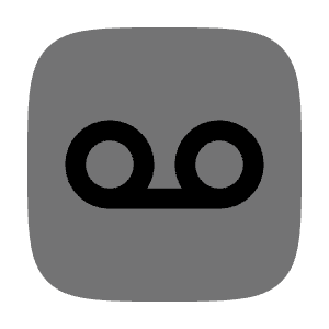 Record Square Icon from Solar Bold Duotone Set