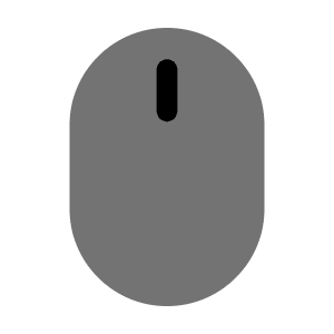 Mouse Minimalistic Icon from Solar Bold Duotone Set