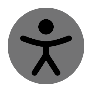 Accessibility Icon from Solar Bold Duotone Set