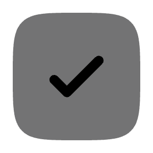 Check Square Icon from Solar Bold Duotone Set