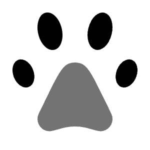 Paw Icon from Solar Bold Duotone Set