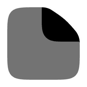 File Icon from Solar Bold Duotone Set