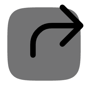 Square Share Line Icon from Solar Bold Duotone Set