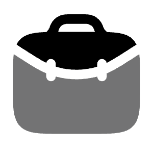 Case Minimalistic Icon from Solar Bold Duotone Set