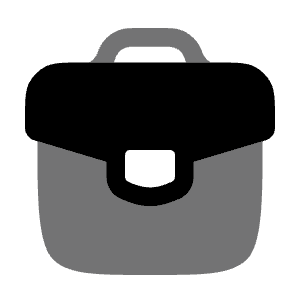 Case Icon from Solar Bold Duotone Set