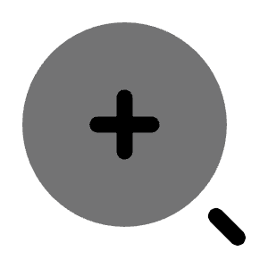 Minimalistic Magnifer Zoom In Icon from Solar Bold Duotone Set