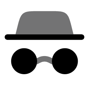Incognito Icon from Solar Bold Duotone Set