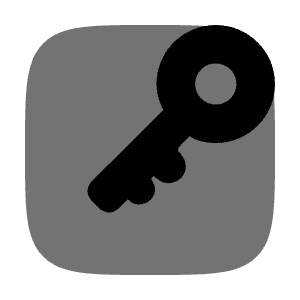 Key Square 4 Icon from Solar Bold Duotone Set