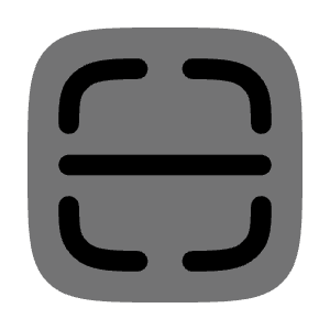 Scanner Icon from Solar Bold Duotone Set