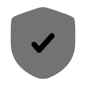Shield Check Icon from Solar Bold Duotone Set