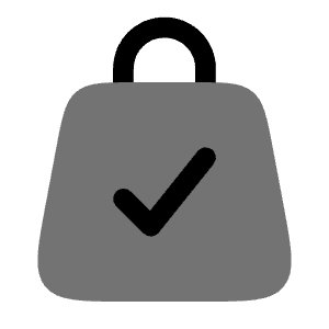 Bag Check Icon from Solar Bold Duotone Set