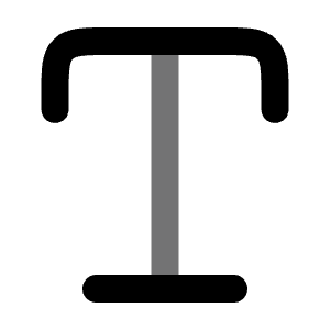 Text Icon from Solar Bold Duotone Set