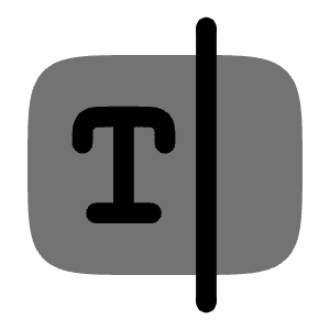 Text Field Focus Icon from Solar Bold Duotone Set