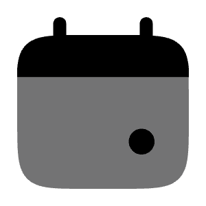 Calendar Mark Icon from Solar Bold Duotone Set