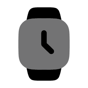 Watch Square Icon from Solar Bold Duotone Set