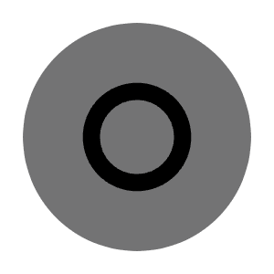 Record Circle Icon from Solar Bold Duotone Set
