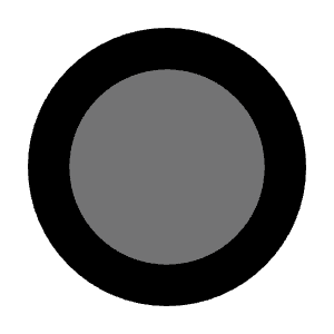 Record Icon from Solar Bold Duotone Set