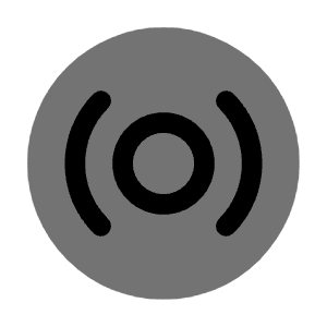 Vinyl Record Icon from Solar Bold Duotone Set