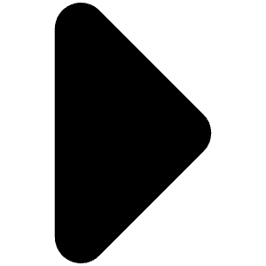 Caret Right Icon from Font Awesome Solid Set