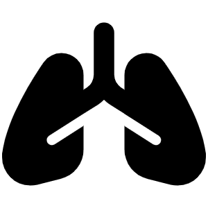 Lungs Icon from Font Awesome Solid Set